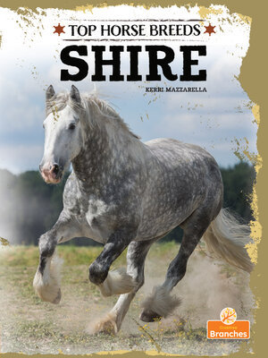 cover image of Shire